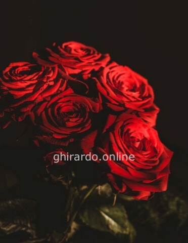 Rose rosse a tua scelta