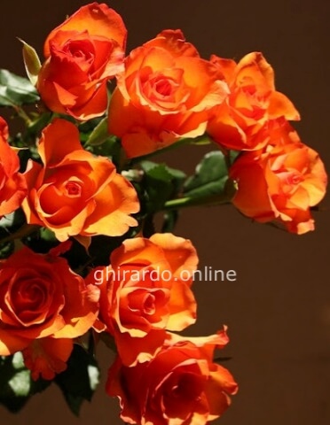 Rose arancio a tua scelta