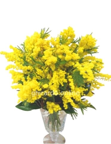 Bouquet di sola mimosa con prezzo a scelta.