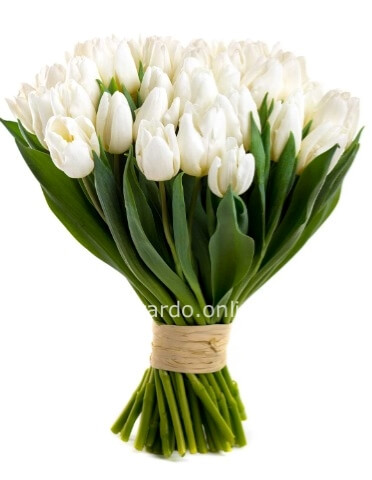 Tulipani bianchi a scelta