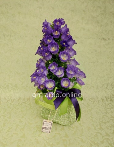 Campanula alta con cesto